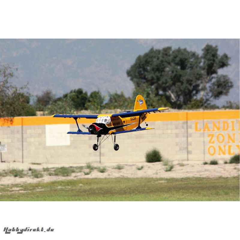 ANTONOV AN-2 1/11 62 ARF DOPPELDECKER Robbe MAX002