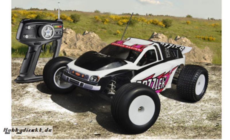 Dazzler 2WD RTR Carson 103003