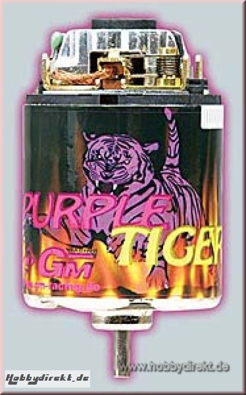 Purple Tiger Motor 2x16T mit Graupner 97095