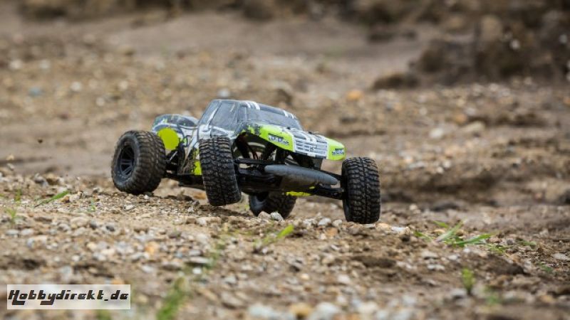 AMP MT 1:10 2WD Monster Truck: Black/Green RTR INT Horizon ECX03028IT2