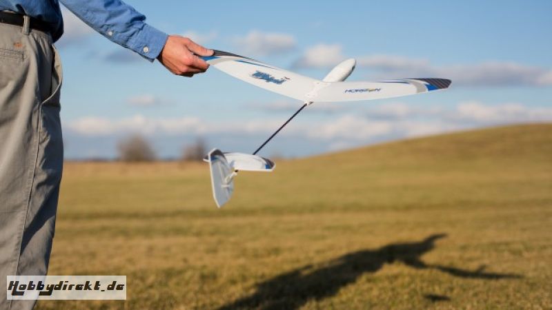 E-flite UMX Whipit DLG BNF Basic Horizon EFLU3150