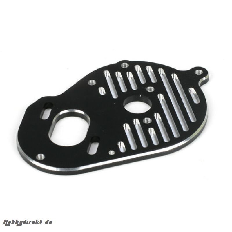 Motor Plate: 22 Horizon TLR4157