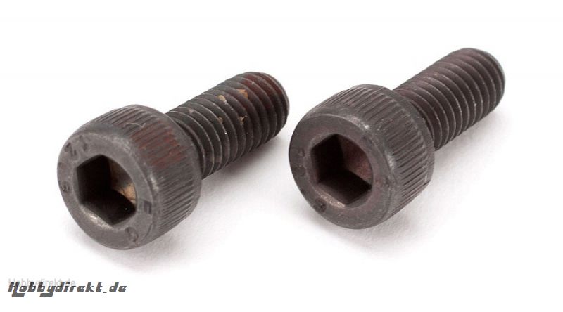 Muffler bolts (M5x12 (2)) ZP62 Horizon ZENP6213