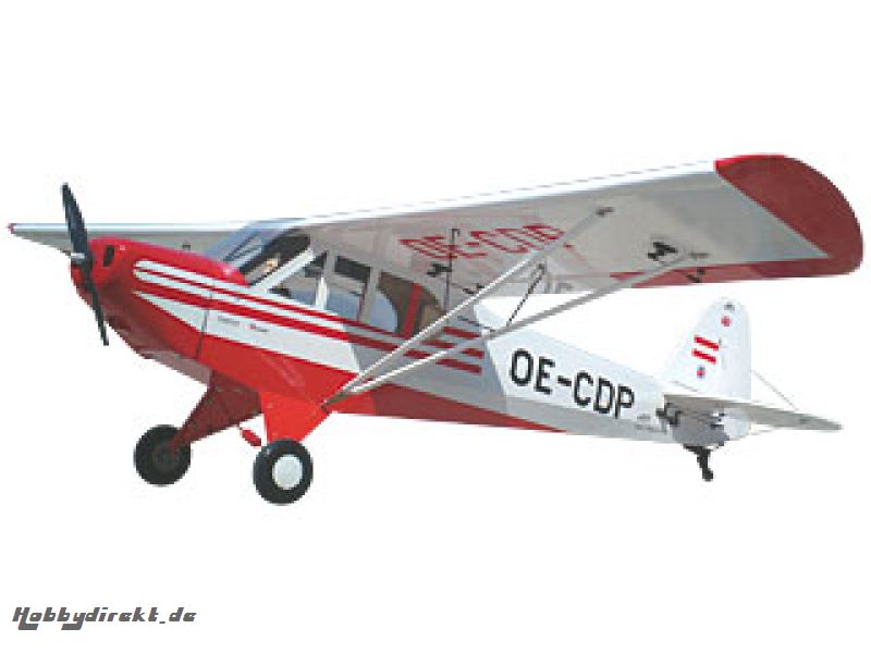 Piper Super Cub 1:3 Pichler C2241