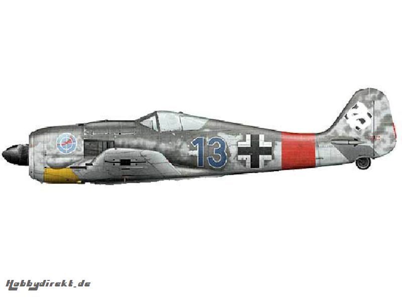 Focke Wulf FW190/ 1610mm Pichler C3207