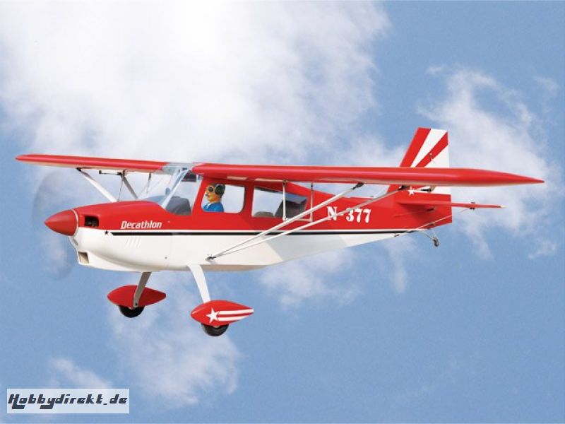 Bellanca Decathlon / 2450mm Pichler C8054