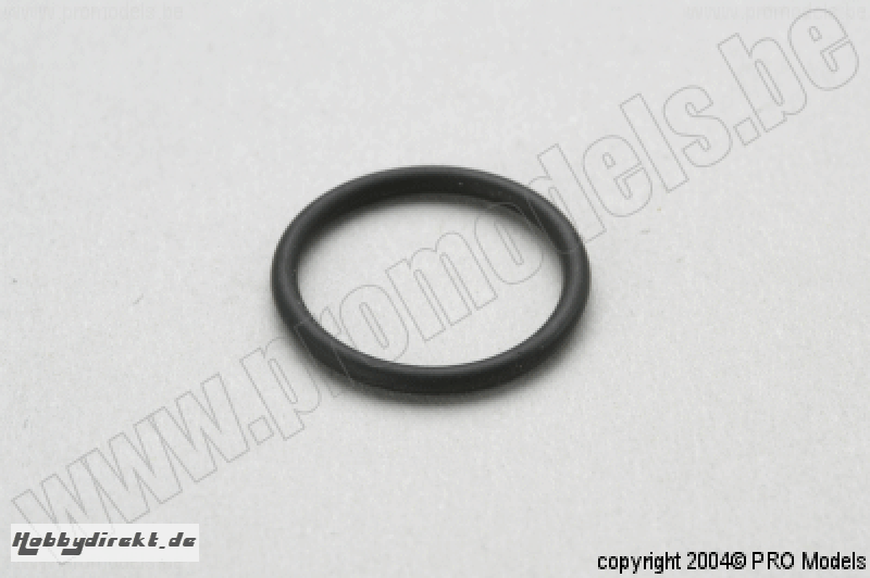 VERGASER O-RING M1050.033