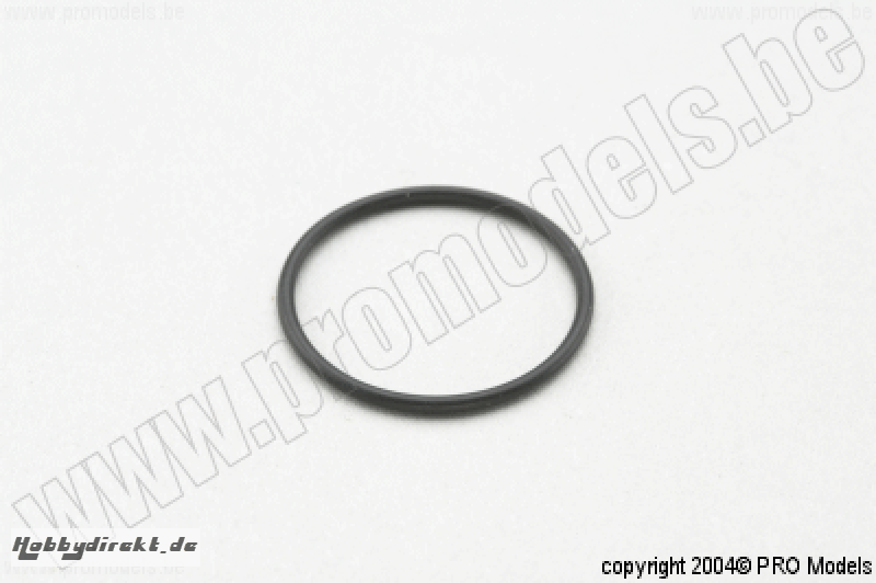 VERGASER O-RING M1051.024