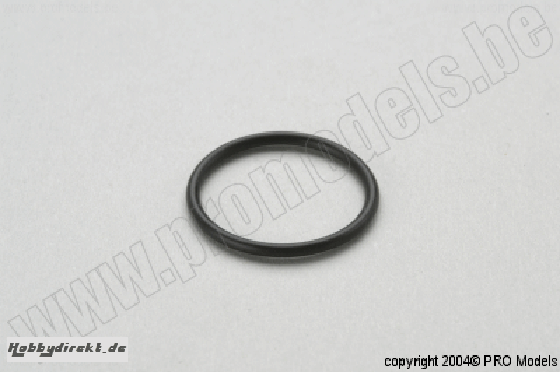 VERGASER O-RING M1051.033