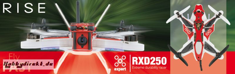 RISE RXD250 Quad Racer Rx-R RISE0250