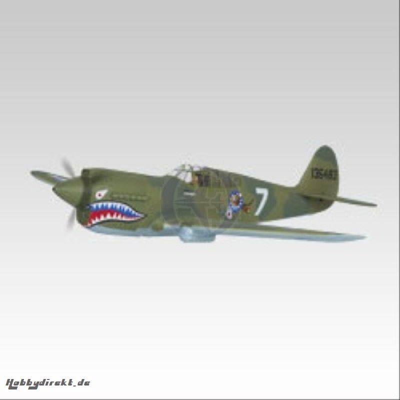 P-40 War Hawk OBL ohne  Motor Thunder Tiger 4339-K20